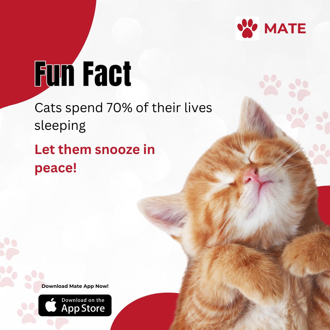 WhatsApp Image 2024-12-11 at 20.42.28_7f9f1b95